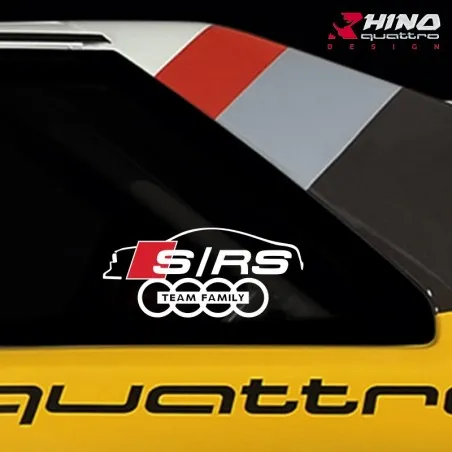 Stickers kit AUDI S/RS TEAM FAMILY