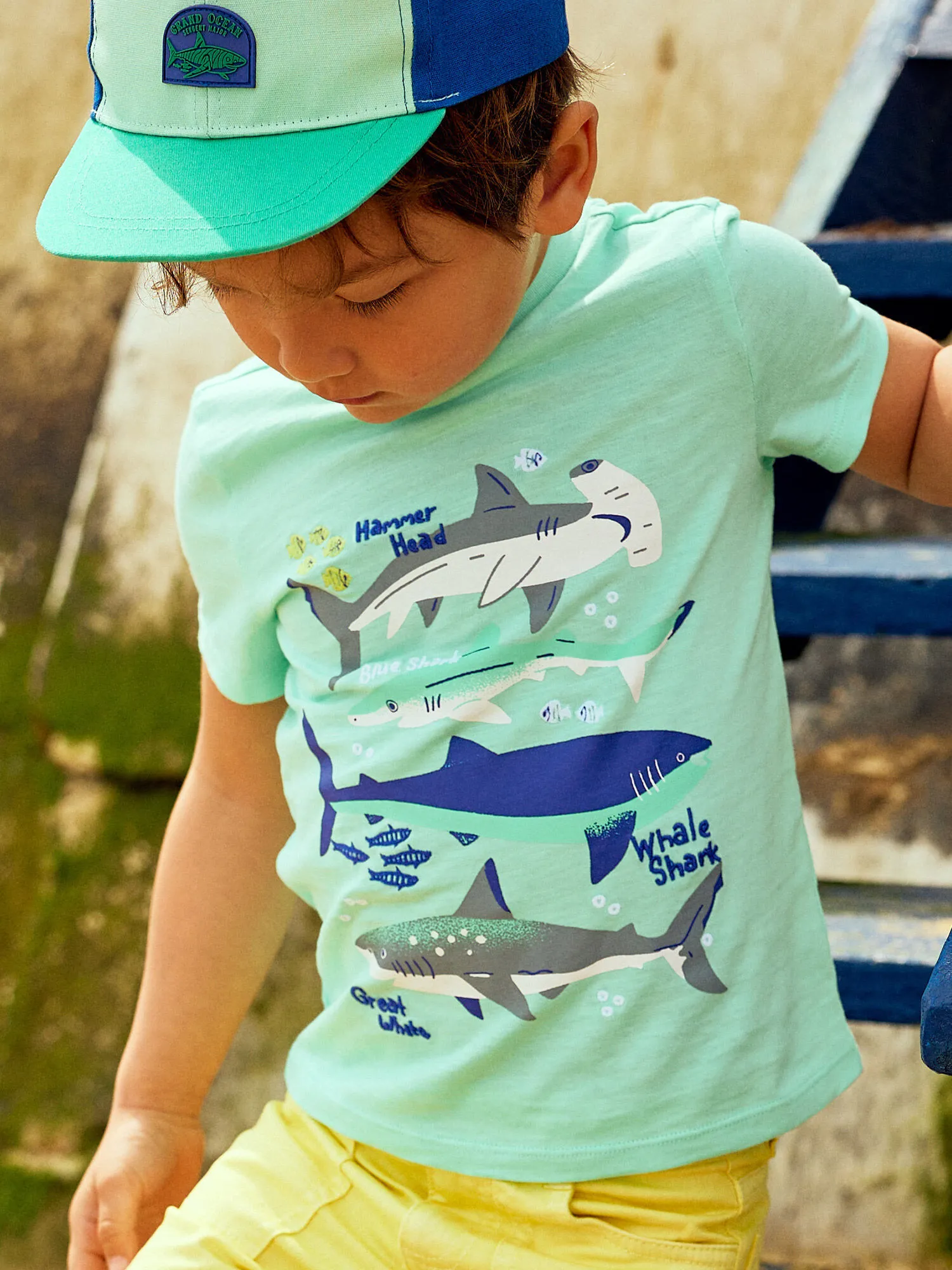 T-shirt bleu turquoise motifs requins enfant garçon