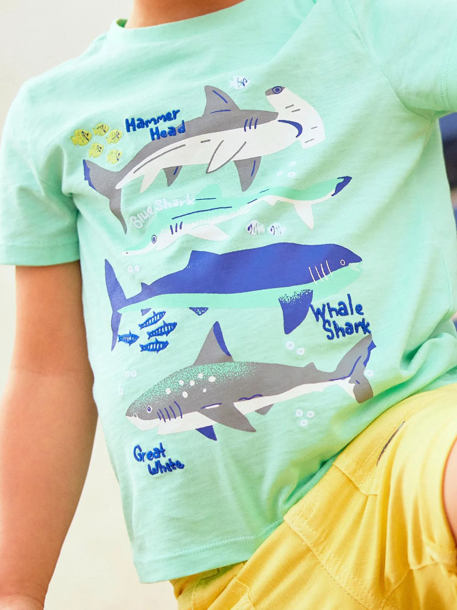 T-shirt bleu turquoise motifs requins enfant garçon