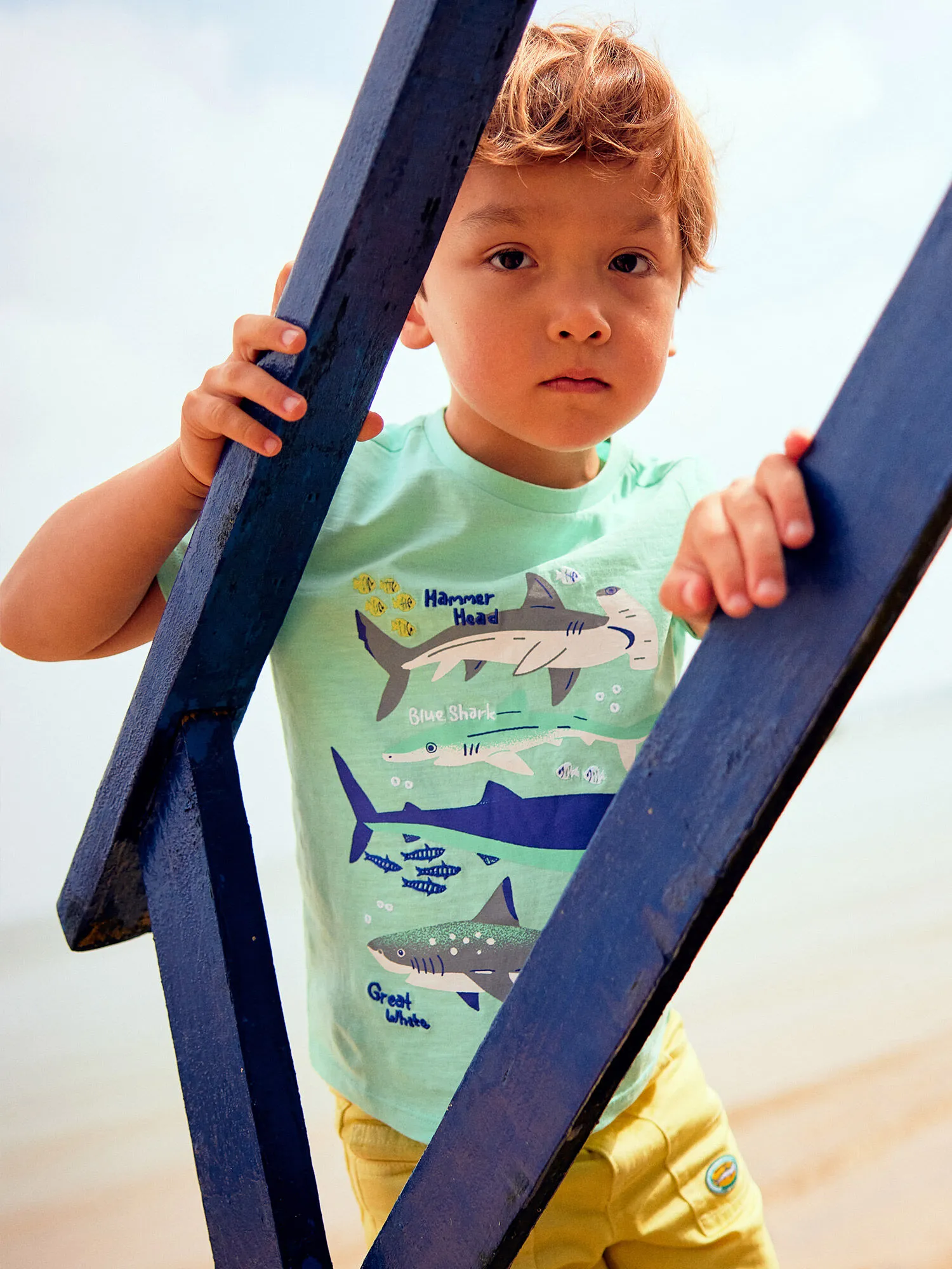 T-shirt bleu turquoise motifs requins enfant garçon